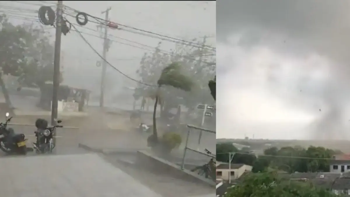 Una tormenta destructiva es causada por una emergencia en la comuna de la soldadada: casas de drenaje, árboles caídos y cortes de energía

 – Desde dentro