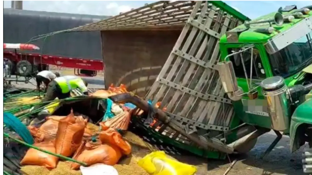 El ladrón muere aplastado cuando fue robado de comida animal

 – Desde dentro