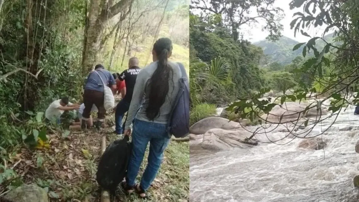 Esto es lo que se sabe sobre la tragedia

 – Desde dentro
