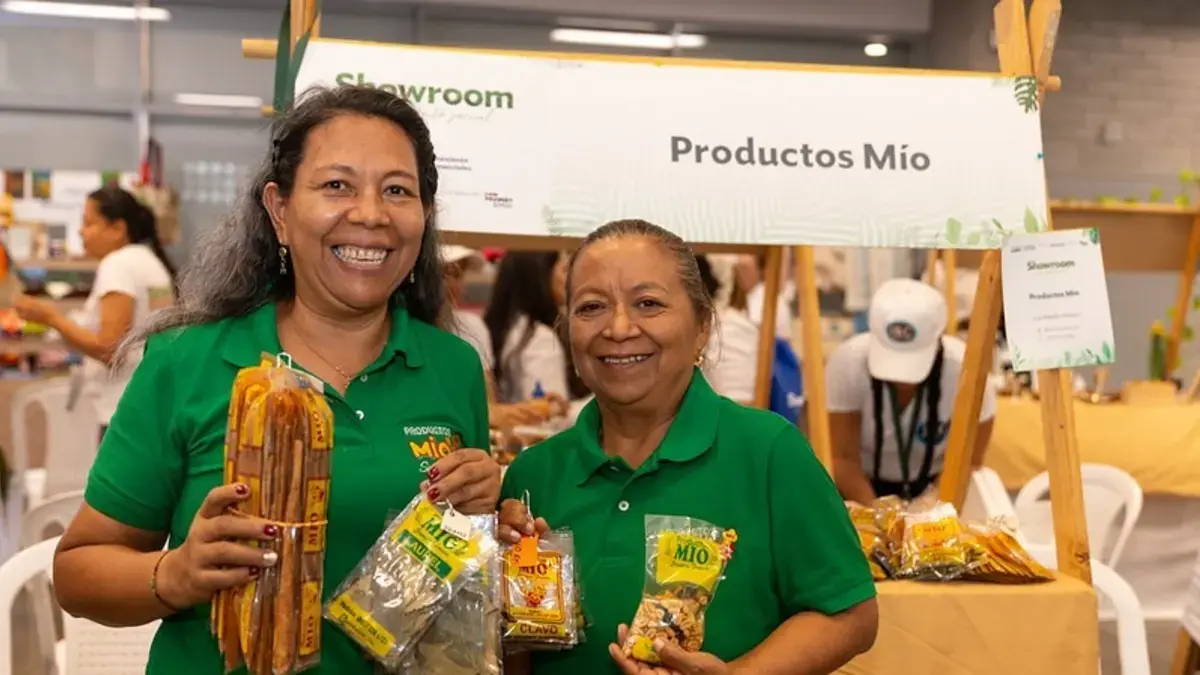 «Microcentreneur vende en promedio un 39.9 % menos que las compañías de hombres»; ¿Cuáles son sus resultados económicos en el país y en el valle?

 – Desde dentro