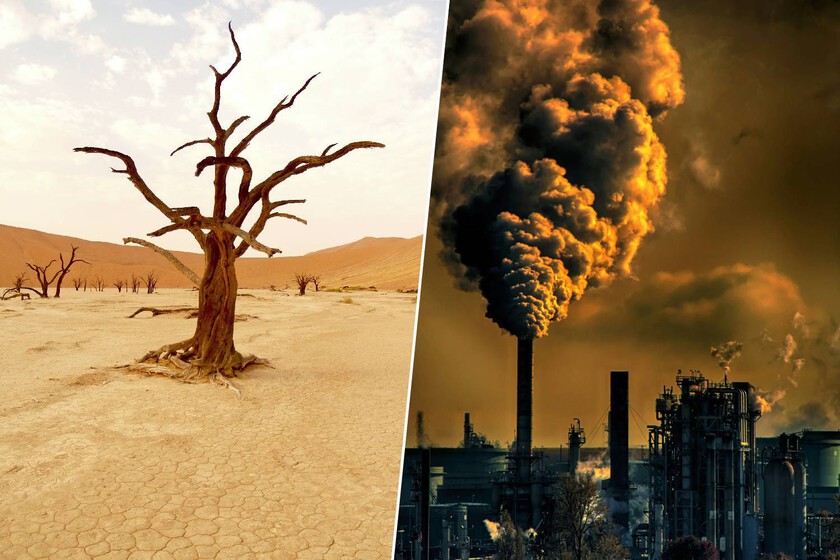 La tierra no tiene tanto espacio como creíamos

 – Desde dentro
