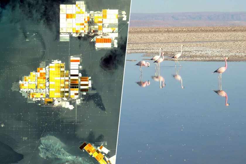 Como el desierto de Atacama muestra el precio ecológico de la descarbonización

 – Desde dentro