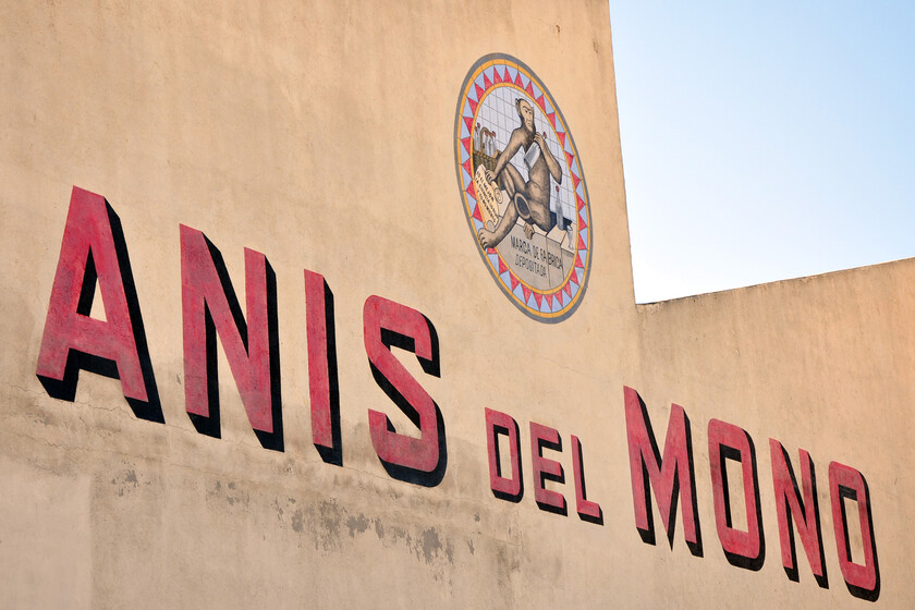 El intento de entender por qué a la gente le gusta tanto el alcohol acaba de encontrar una pista fundamental: los monos borrachos

 – Desde dentro