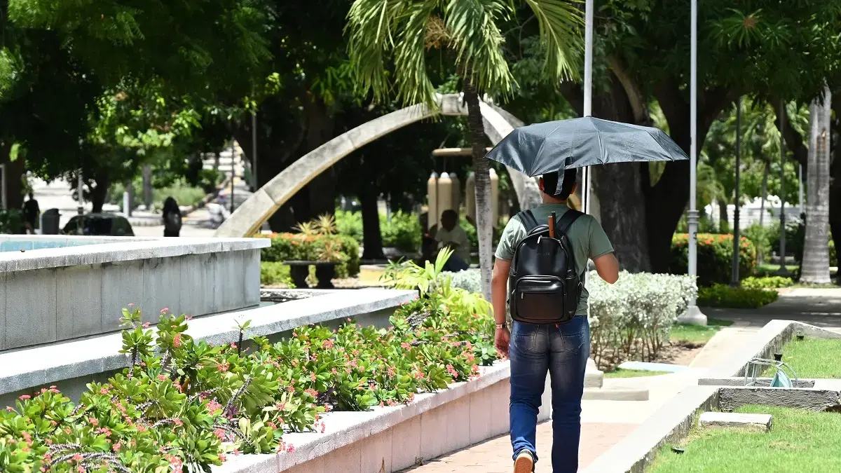 Con drones, suministros de árboles y mediciones de calor, en Barranquilla diseñe la aplicación para caminar sobre rutas sombreadas durante la ola de calor

 – Desde dentro