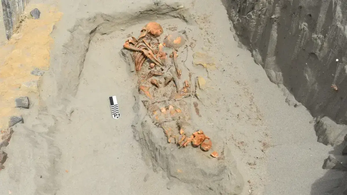 Los arqueólogos revelaron imágenes de 12 cuerpos enterrados; Habrían sido sacrificados y atados

 – Desde dentro