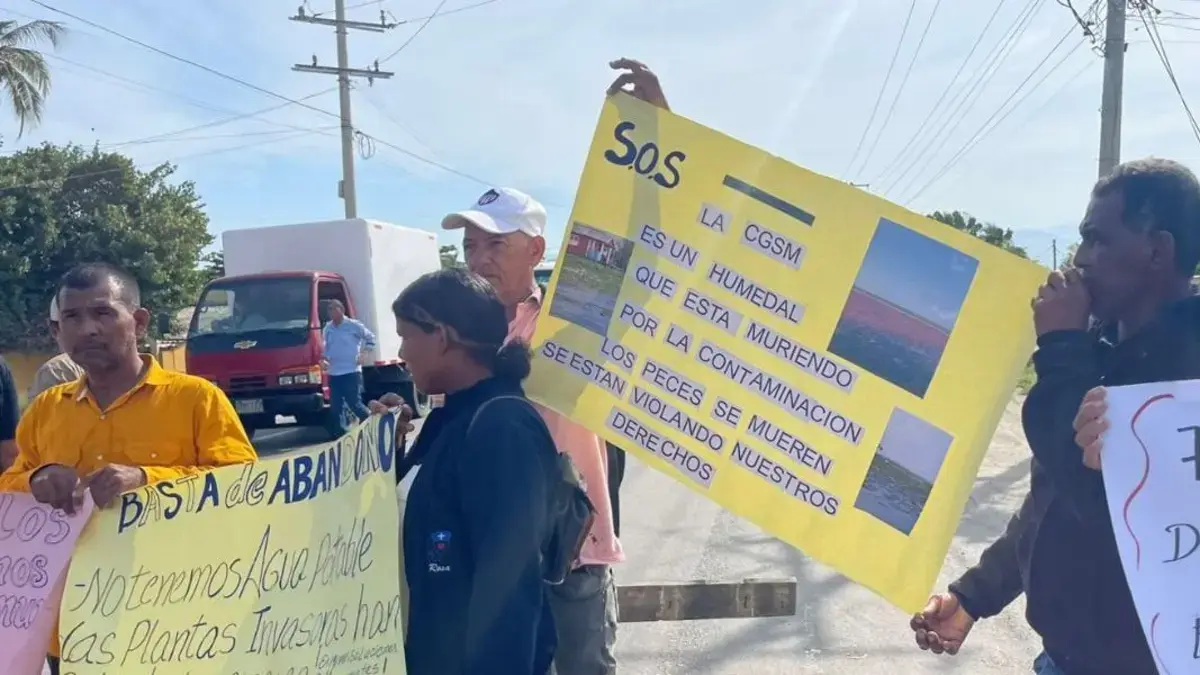 Nueva Venecia, atrapada entre agua y malas hierbas: gente de palago que podrían desaparecer

 – Desde dentro