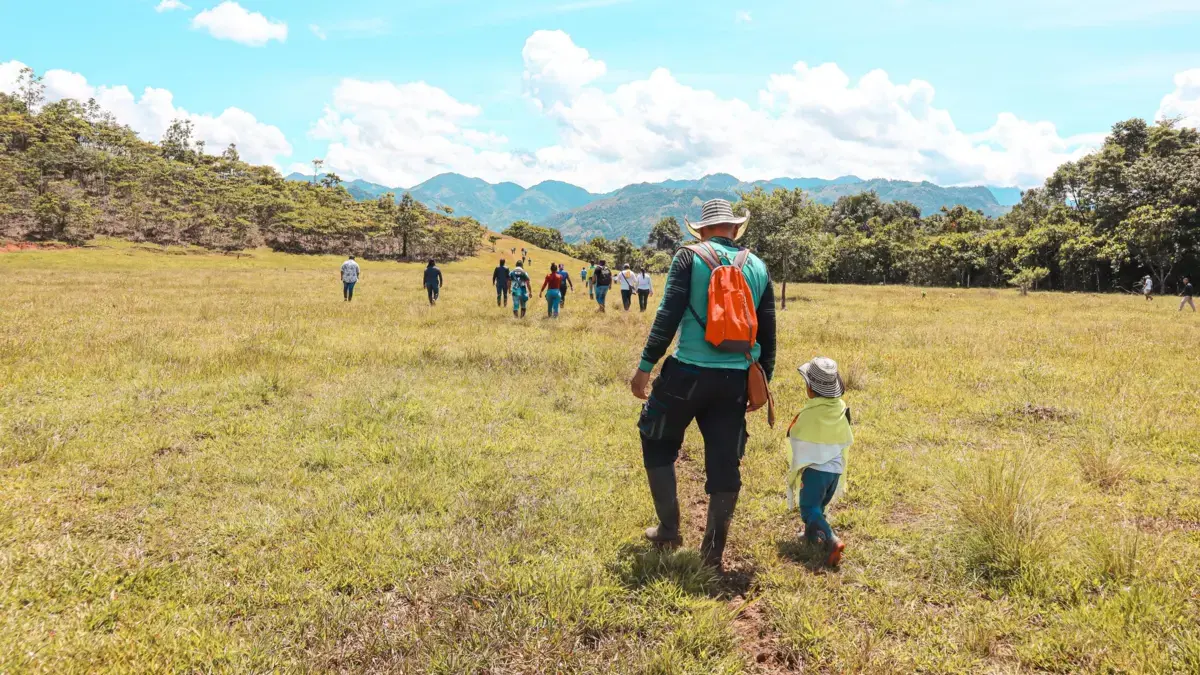 Peace Linadores Del Doncello en Caquetá recibió 235 hectáreas de tierra para quedarse dormido en el futuro del conflicto

 – Desde dentro