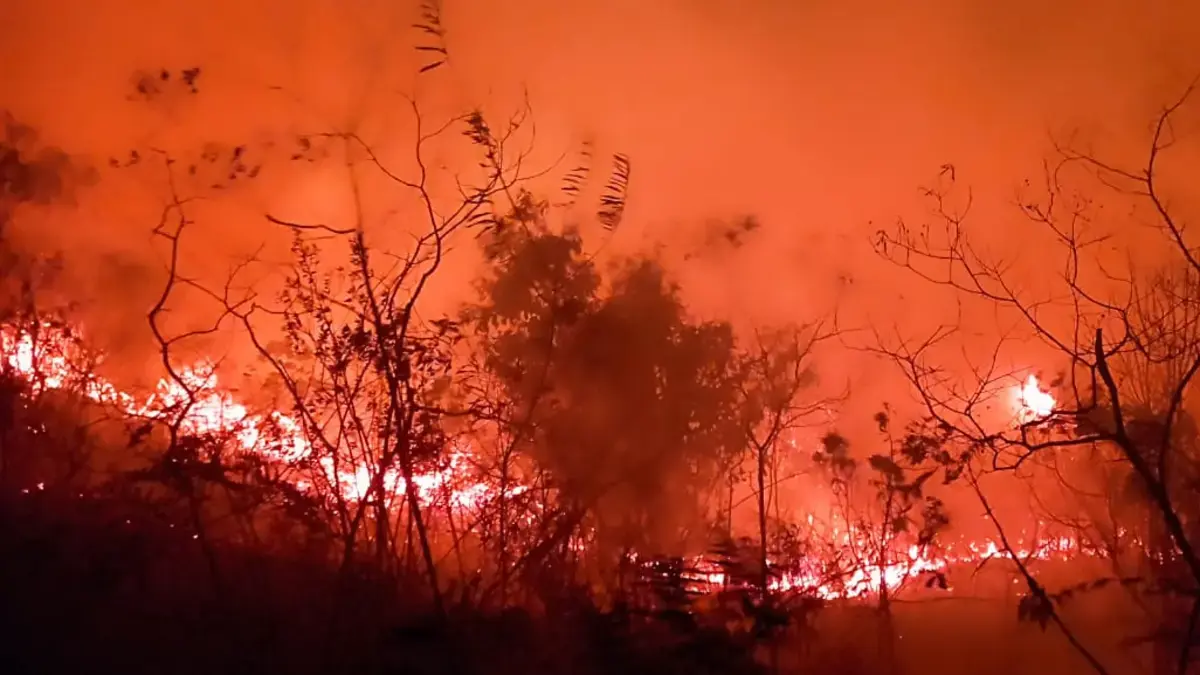 Informar un incendio del bosque de Vamia en Dolores, Tolima; Los residentes solicitan la ayuda de los bomberos para suprimir las llamas: «Nacimiento del nacimiento»

 – Desde dentro