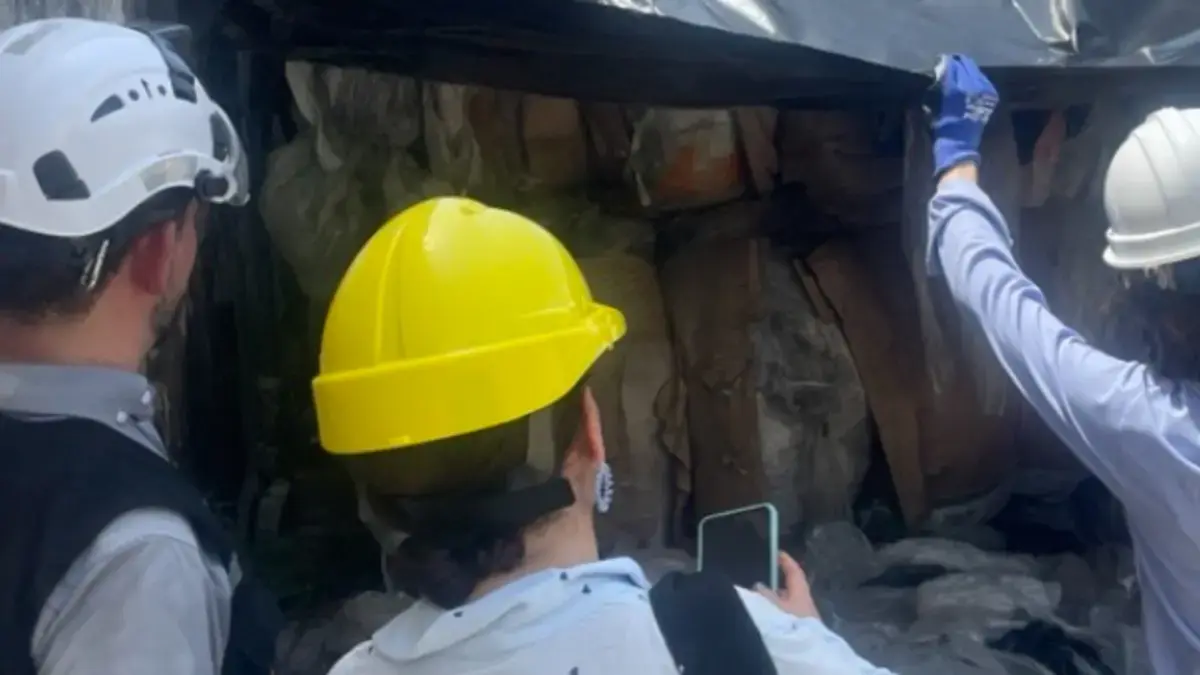La entidad encontró más de 17 toneladas

 – Desde dentro