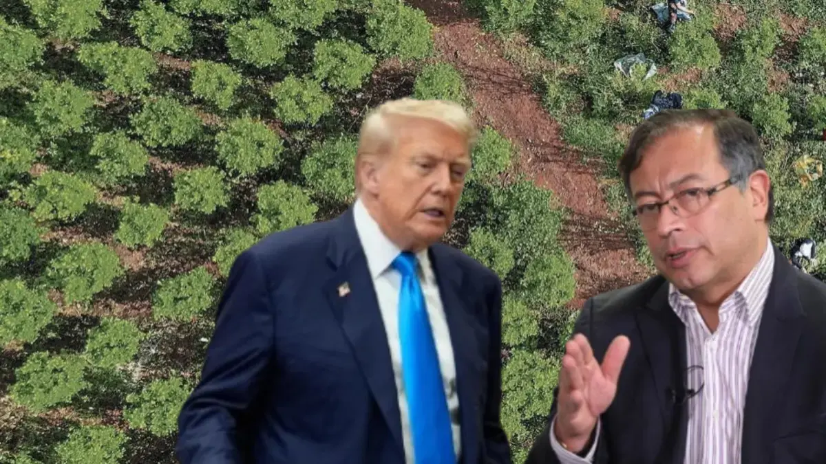 El presidente Petro responde a la embajada de los Estados Unidos

 – Desde dentro