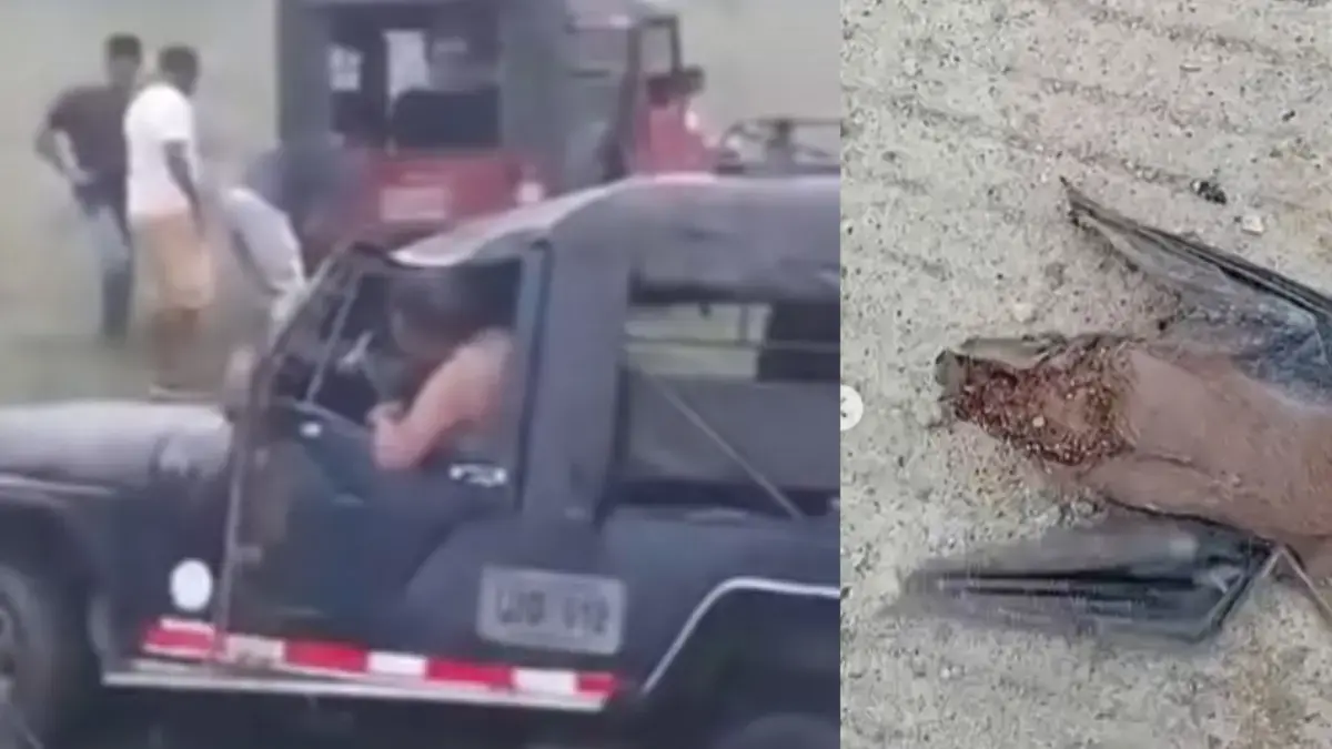 El murciélago entraría en la cabaña de Willys, que giró durante el transporte de 21 estudiantes

 – Desde dentro