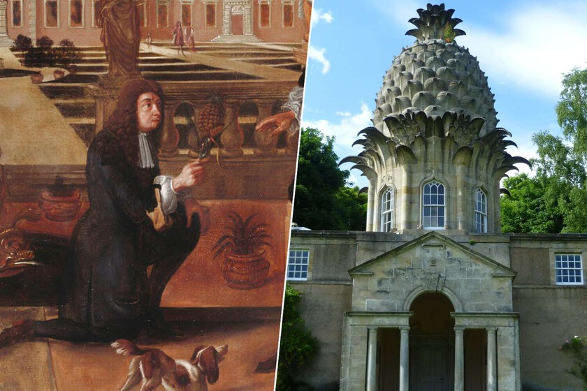 Colón introdujo la piña en Europa en 1496. 200 años después los ingleses se volvieron locos

 – Desde dentro