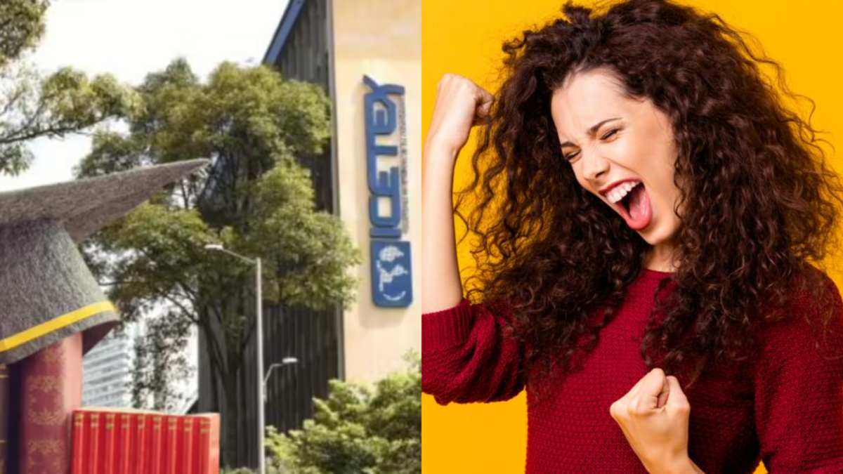 ¿Cómo puedo postularme y cuáles son los requisitos?

 – Desde dentro