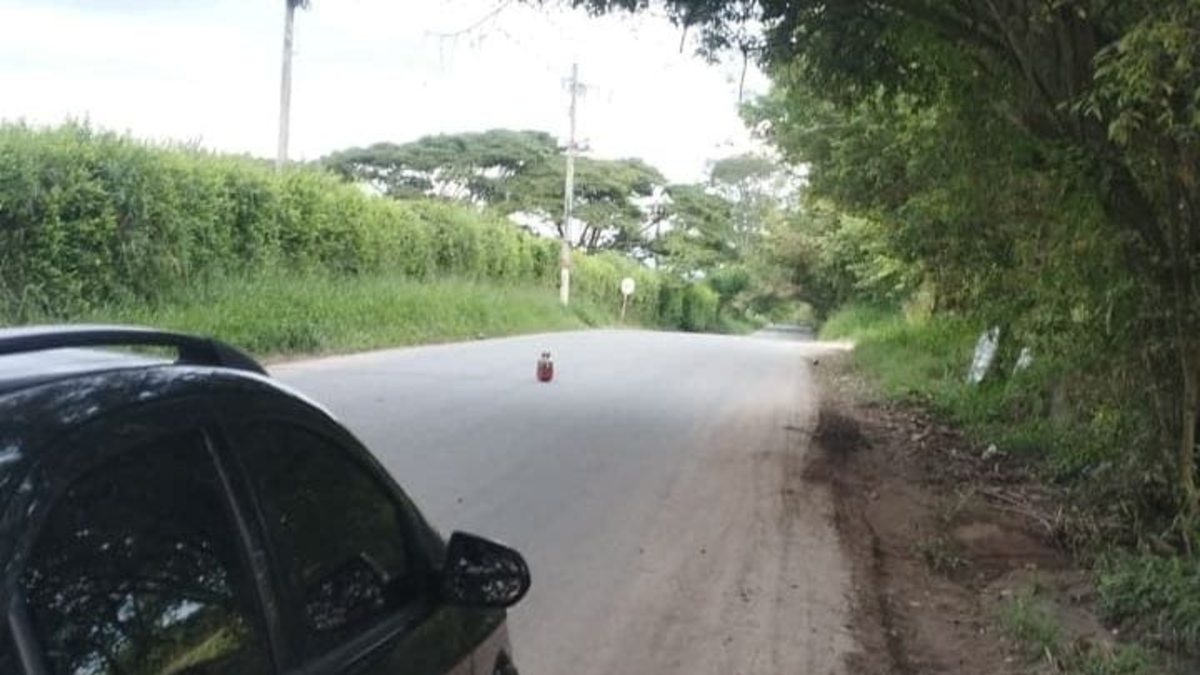 Se sabe que autoridades frustraron un posible ataque con explosivos en la vía que conecta los municipios de Miranda y Florida

 – Desde dentro