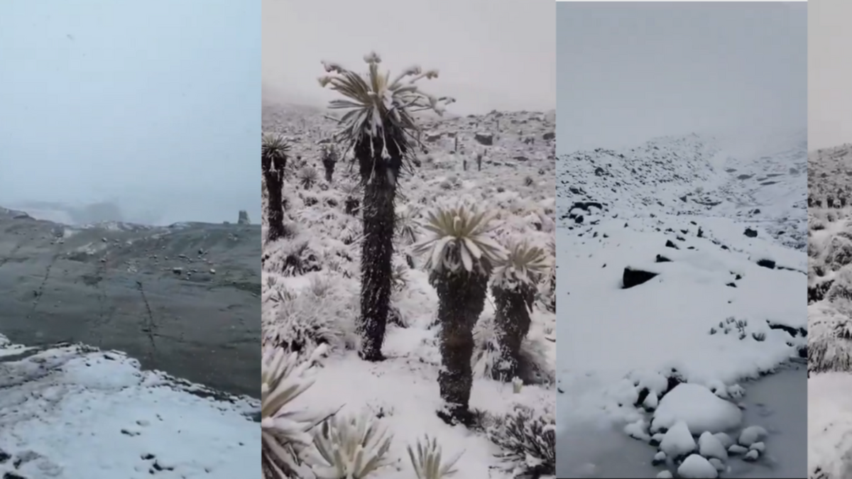 Nevado de El Cocuy se cubre de nieve tras más de 12 horas de lluvias y deja paisajes inéditos en varios puntos de la alta montaña

 – Desde dentro