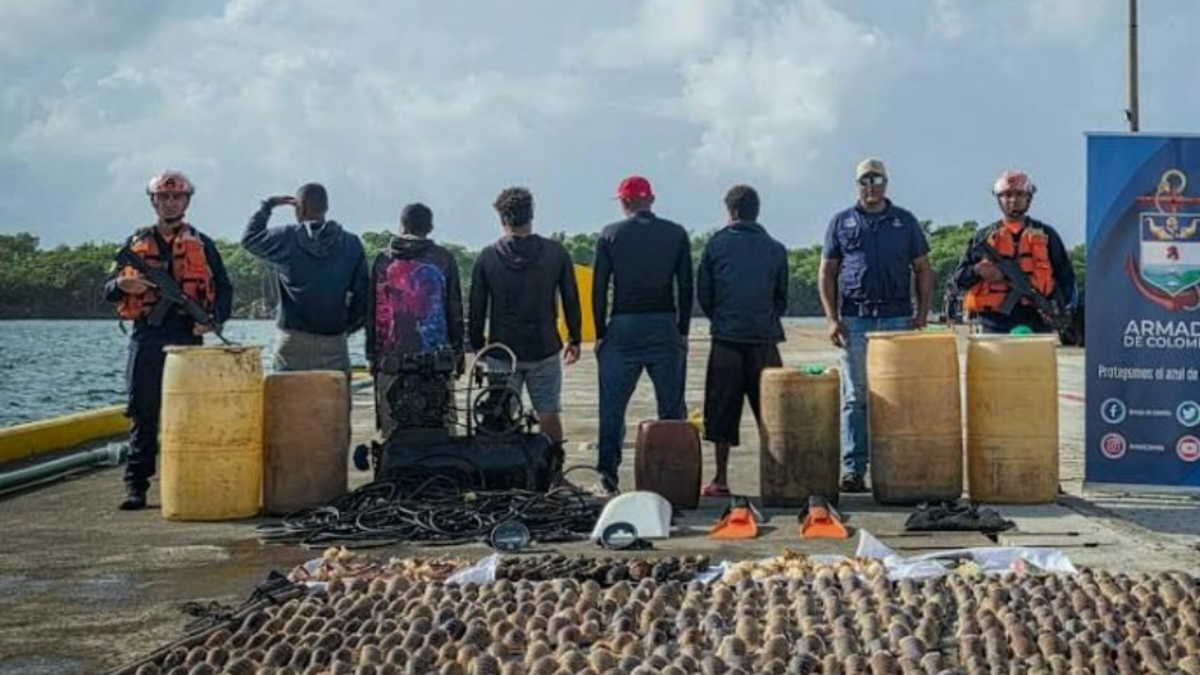 Armada de Colombia intercepta embarcación nicaragüense que transportaba más de 180 kilogramos de pesca ilegal en San Andrés

 – Desde dentro