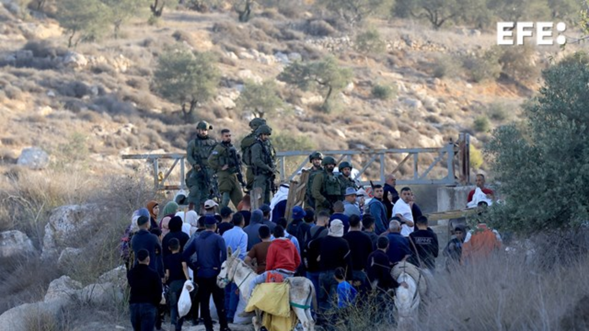 «Avi Bluth, no juegues con nosotros»

 – Desde dentro