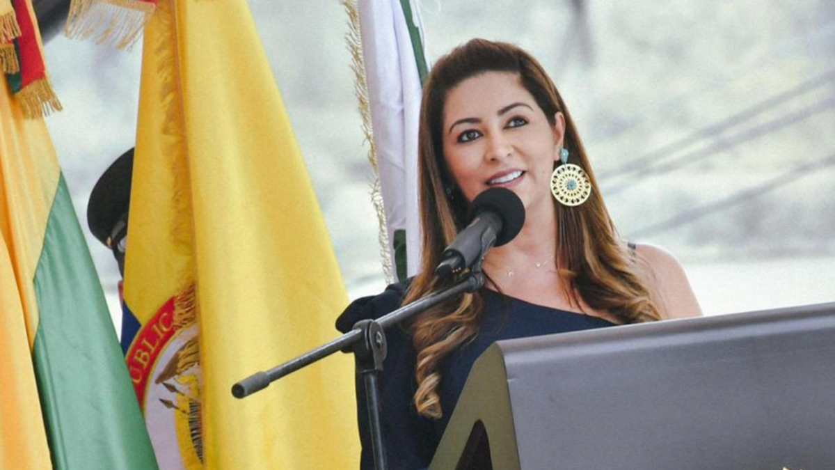 Ante el aumento del riesgo, gobernador del Tolima pide apoyo ciudadano a fin de año para fortalecer la seguridad: «Pedimos ayuda»

 – Desde dentro