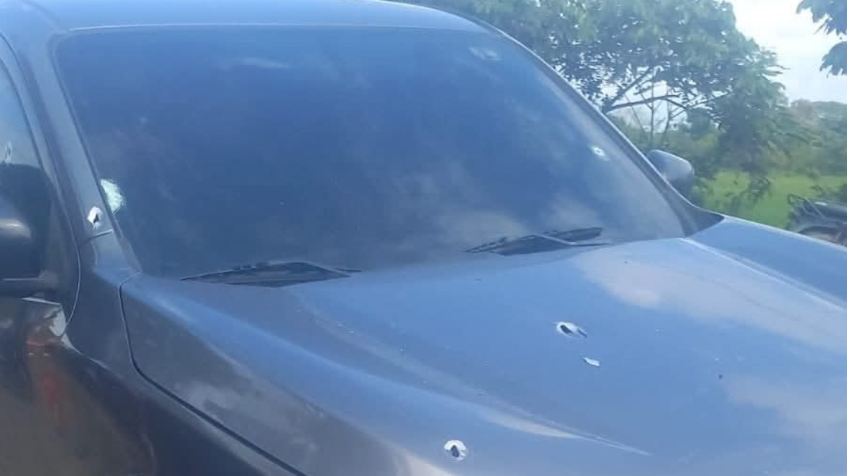 El hecho ocurrió en el campo

 – Desde dentro