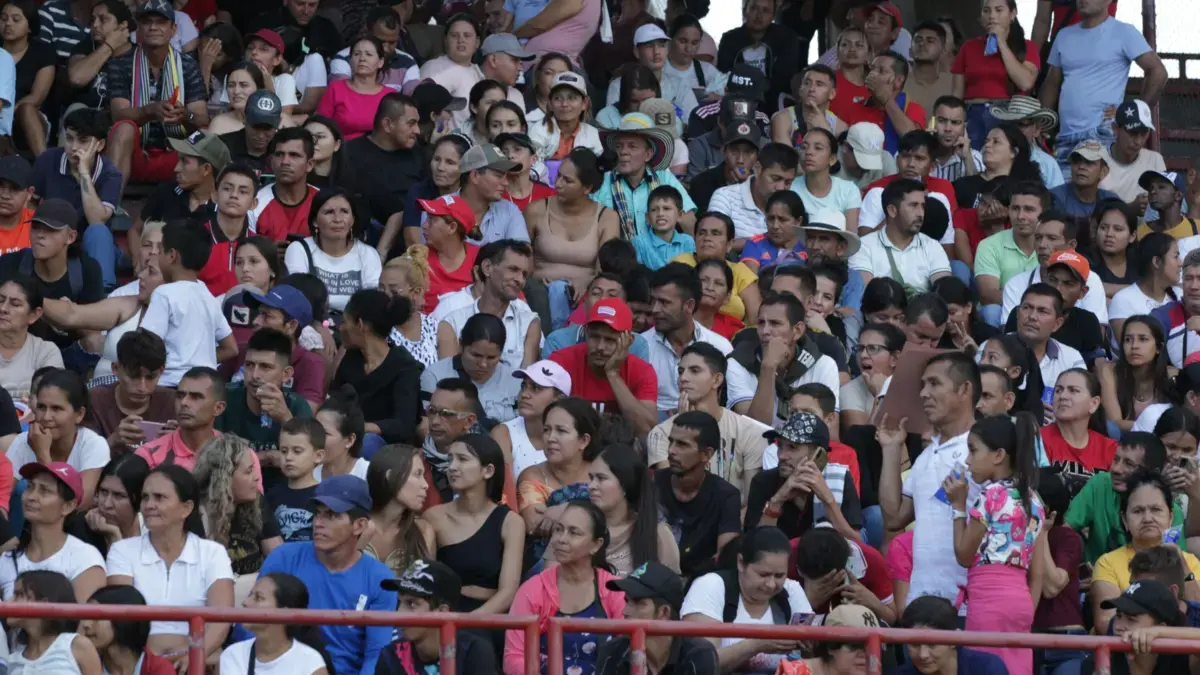 Defensoría del Pueblo solicita asistencia humanitaria y alarma por hostilidades en el Catatumbo

 – Desde dentro