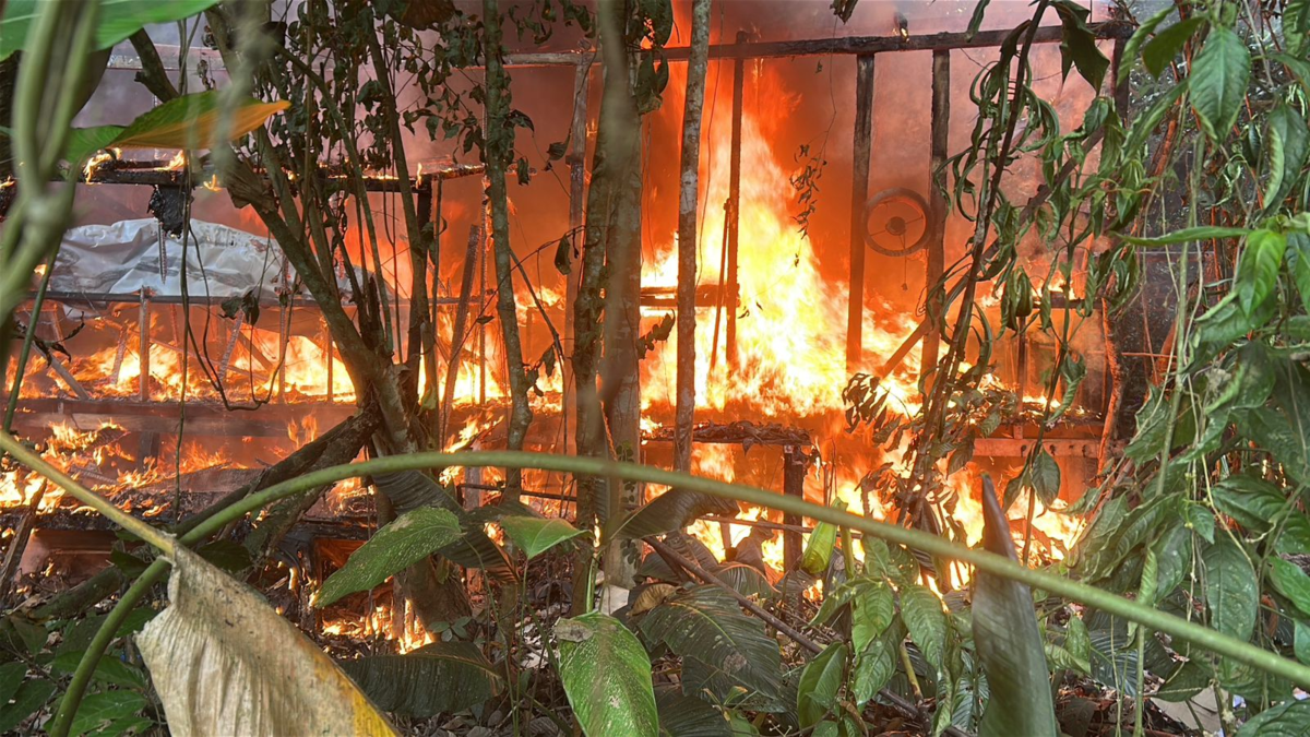 Militares y policías desmantelan un laboratorio gigante de clorhidrato de cocaína en la zona rural de Tumaco, estado de Nariño

 – Desde dentro