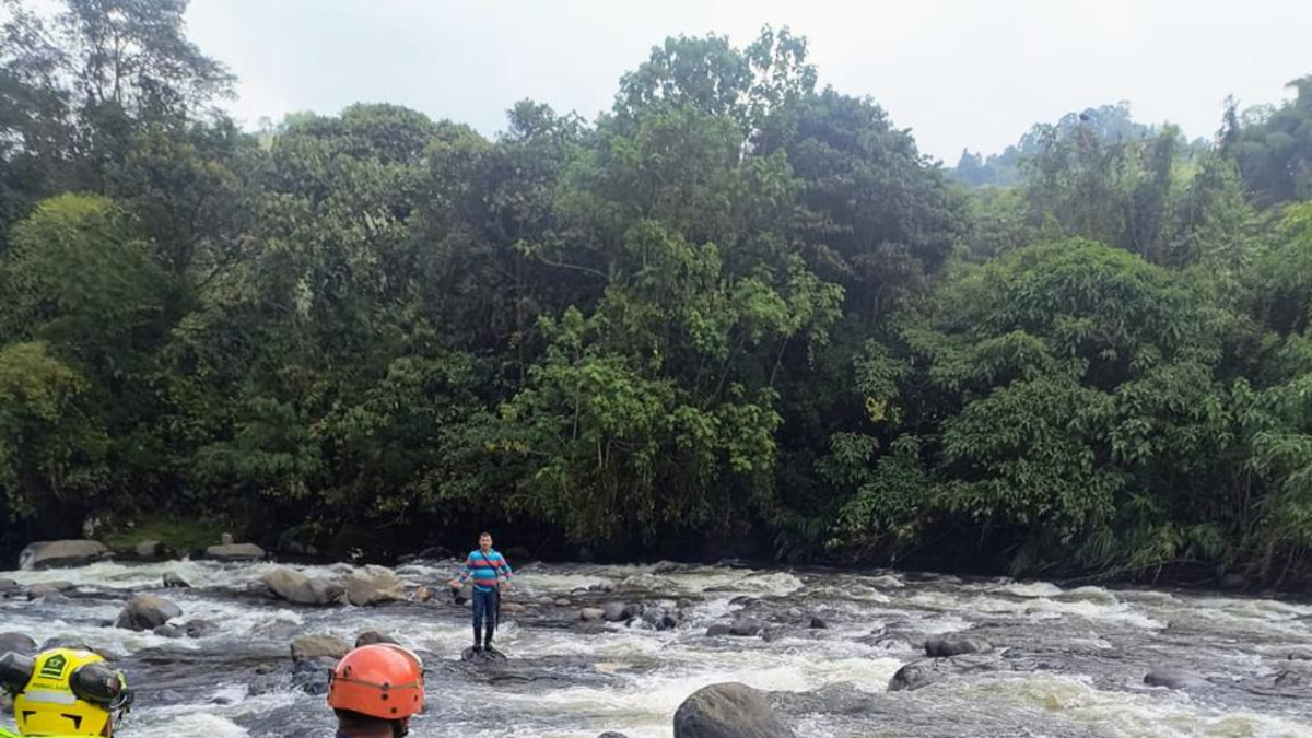 estaba observando pájaros y cayó a un barranco

 – Desde dentro