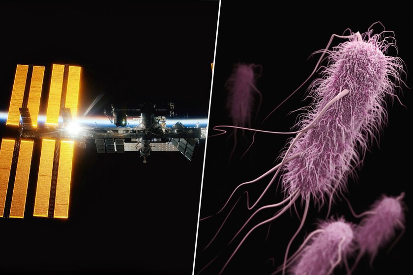 Llevamos años buscando nuevas armas contra las superbacterias. Diseñamos uno para 400 km de altitud.

 – Desde dentro