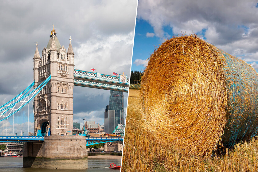 Fardos de paja cuelgan de los puentes del Támesis. Esto no es casualidad, es un sistema de seguridad centenario.

 – Desde dentro
