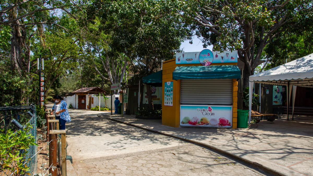 Zoológico de Barranquilla ajusta tarifas e inicia debate urbano sobre sostenibilidad, bienestar animal y urgencia de transferencia estructural

 – Desde dentro