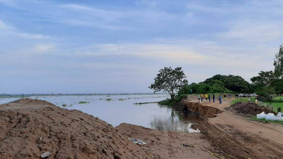 La prolongada sequía en el Atlántico Sur golpea a los agricultores del Campo de la Cruz y amenaza la seguridad alimentaria local

 – Desde dentro