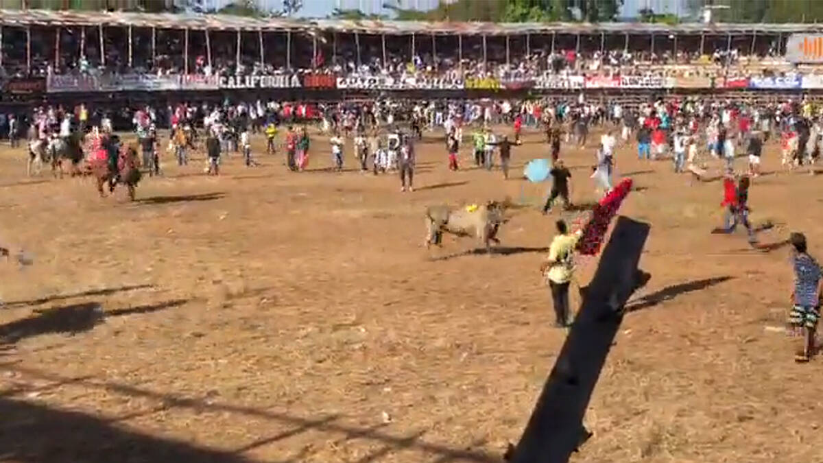 corralejas en el Cáucaso, como resultado del cual más de 60 personas resultaron heridas

 – Desde dentro