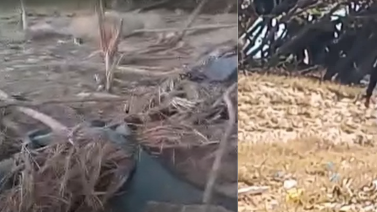 En la zona se encontraron restos de un misil estadounidense

 – Desde dentro