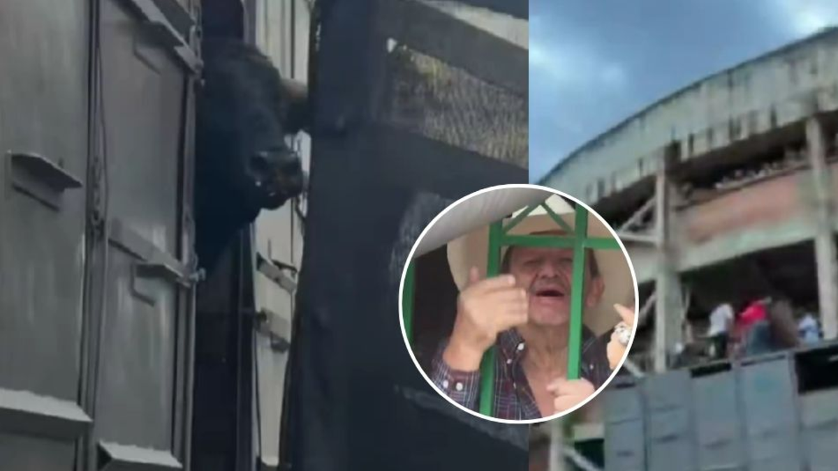 Manifestantes bloquearon la entrada a la plaza de toros de Barbosa en Santander y denunciaron a los organizadores del maltrato animal: «Asesinos»

 – Desde dentro