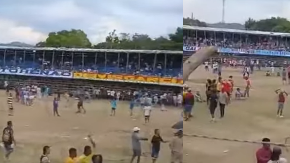 Un hombre murió tras atropellar a Corraleja

 – Desde dentro