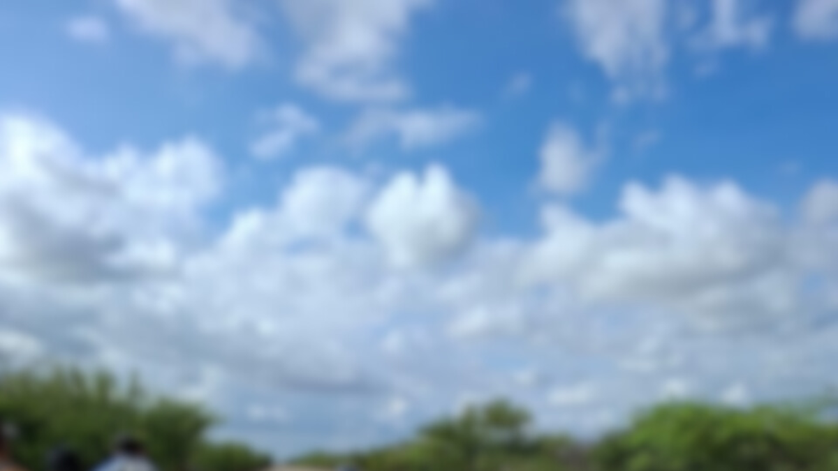 Estos son nuevos detalles del caso

 – Desde dentro