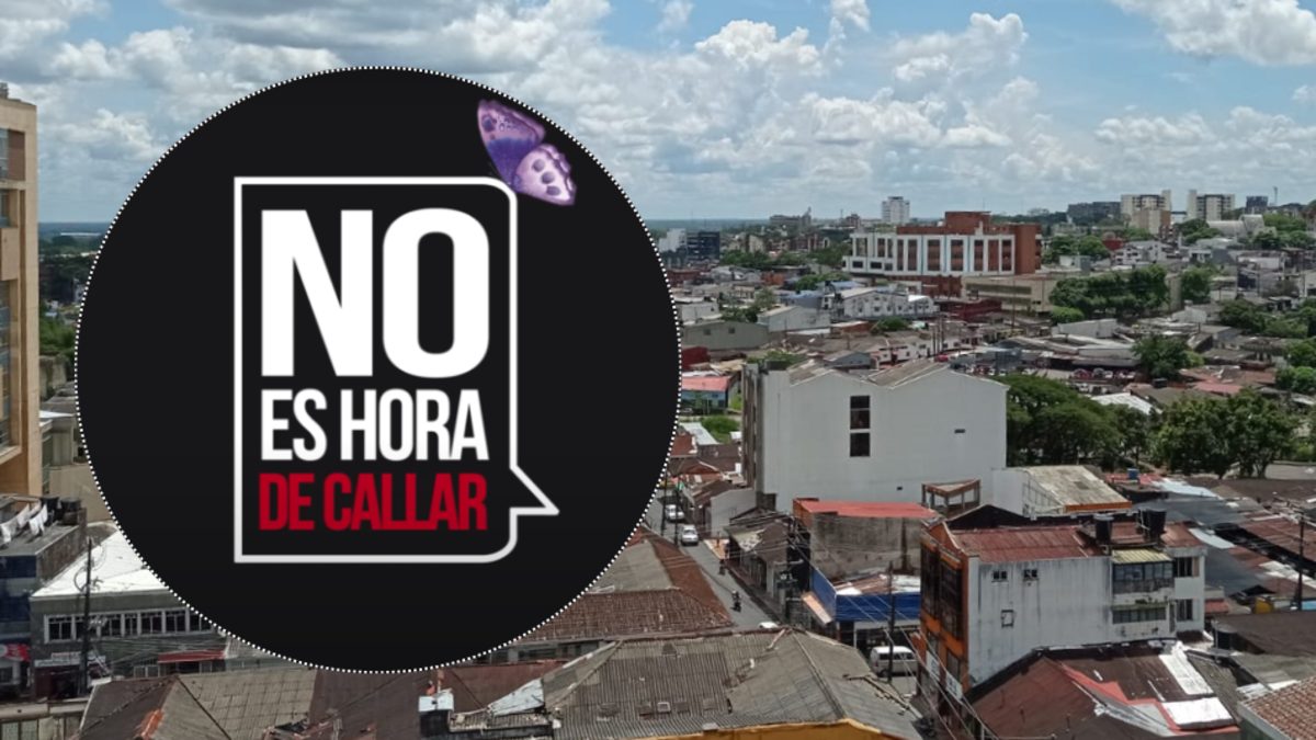 Se recibieron más de 1.000 denuncias y 341 víctimas fueron niñas y niños

 – Desde dentro