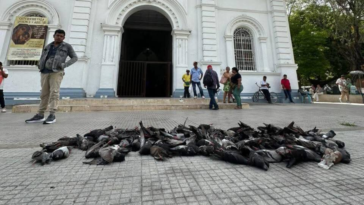 El alcalde exige investigación y protección del medio ambiente

 – Desde dentro