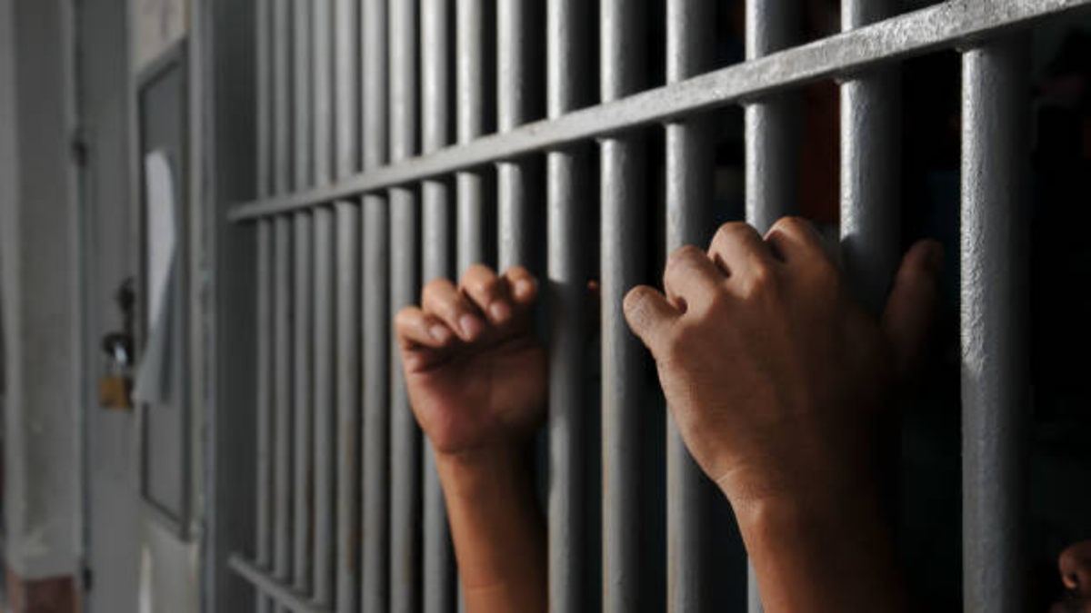 Detenidos cinco presuntos terroristas que pretendían perpetrar múltiples atentados en la capital de Somalia: «Planeaban entrar en secreto»

 – Desde dentro