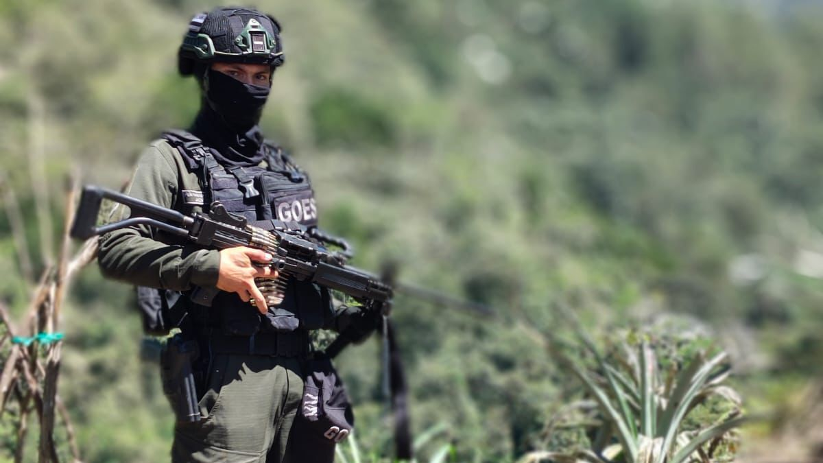 Líderes del ELN y del Clan del Golfo están detrás de una disputa silenciosa por rutas secretas de la droga que ha dejado un rastro de terror en Risaralda

 – Desde dentro