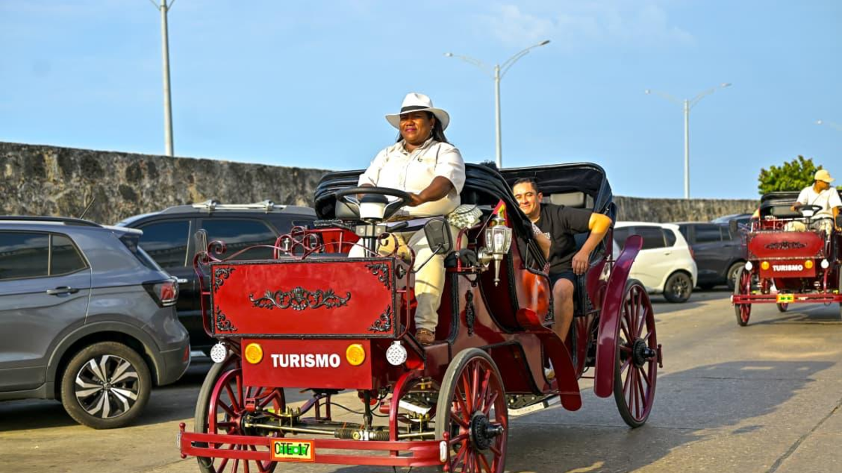 Aquí tenéis los horarios, recorridos y cómo acceder a este servicio, que se amplía durante cinco meses

 – Desde dentro