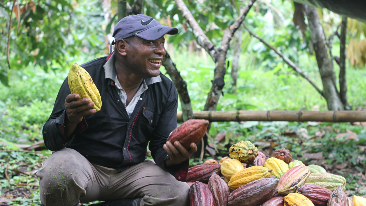Aquí algunas historias de transformación en áreas marcadas por la violencia, la agricultura ilegal y el despojo de tierras.

 – Desde dentro