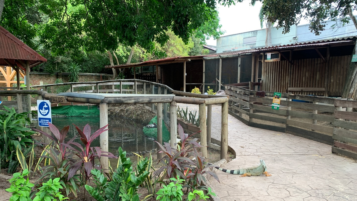 Argos Property aparece como una alternativa viable para reubicar el Zoológico de Barranquilla e incluirlo en el gran eje ambiental del Río Magdalena

 – Desde dentro