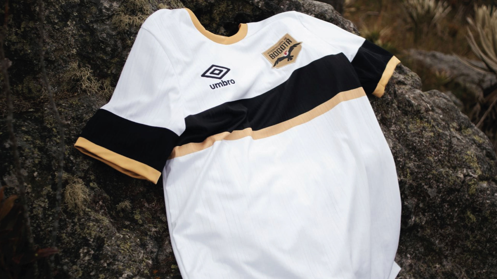 Ryan Reynolds revoluciona internet tras vestir la camiseta oficial del Internacional de Bogotá

 – Desde dentro