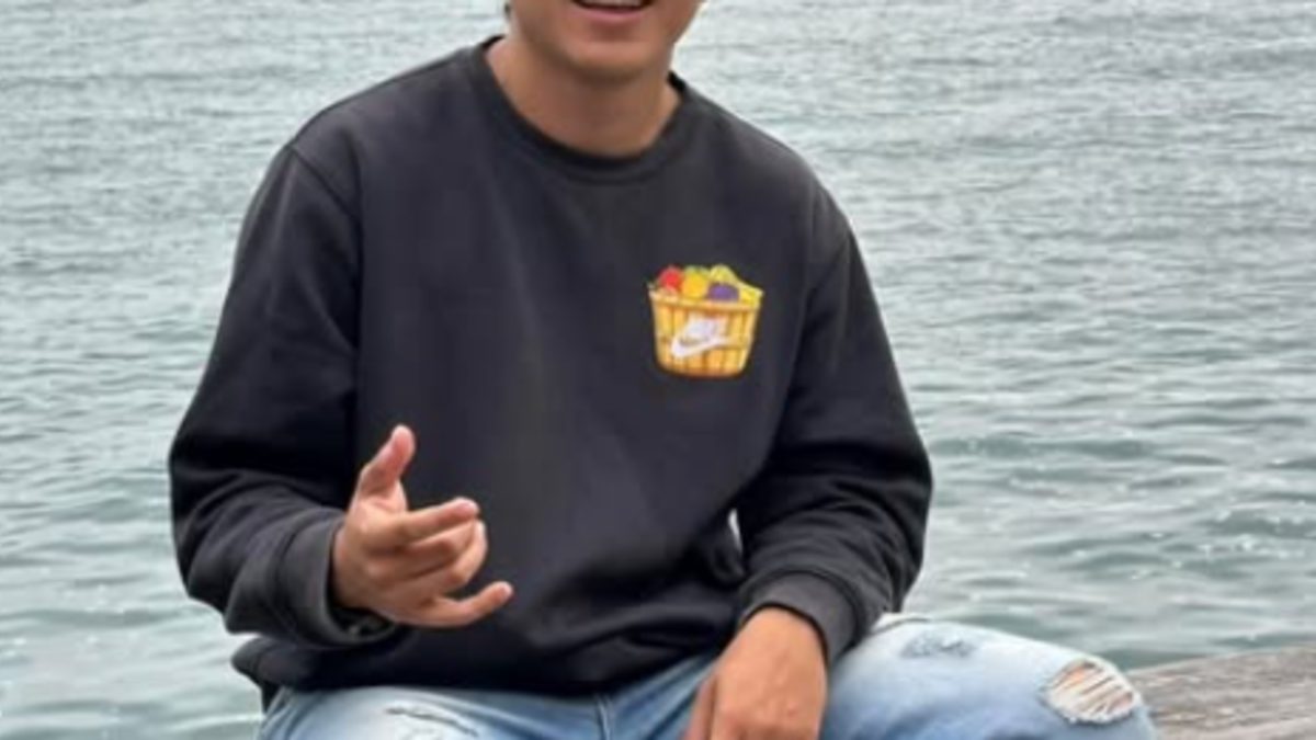 Se sabe que hincha del Atlético Bucaramanga, estudiante de veterinaria, fue asesinado tras partido disputado en Cúcuta

 – Desde dentro