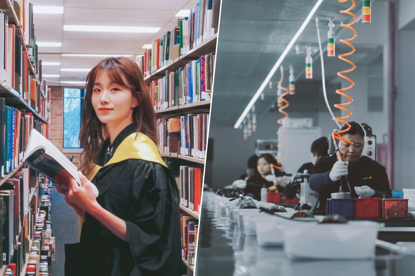 Por qué cada vez más estudiantes de la Generación Z eligen una carrera en lugar de una carrera universitaria

 – Desde dentro