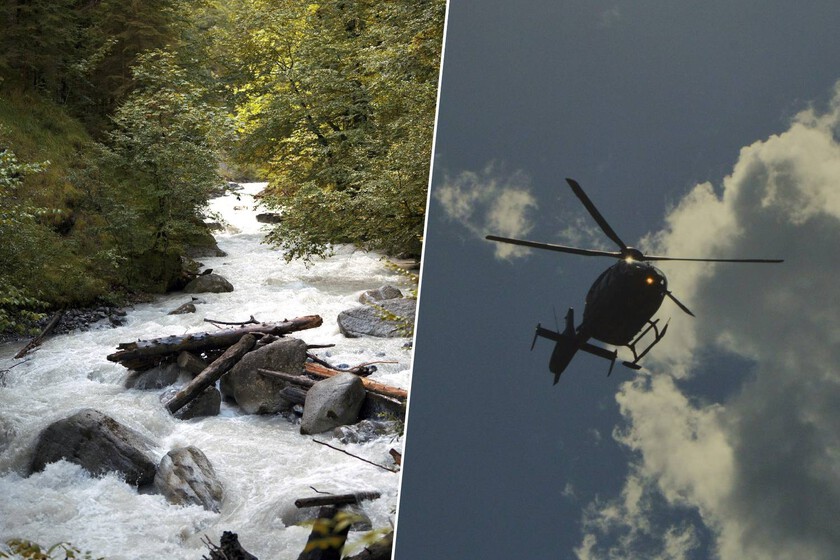 bombardearlos con 6.000 troncos desde helicópteros para corregir un error de décadas

 – Desde dentro