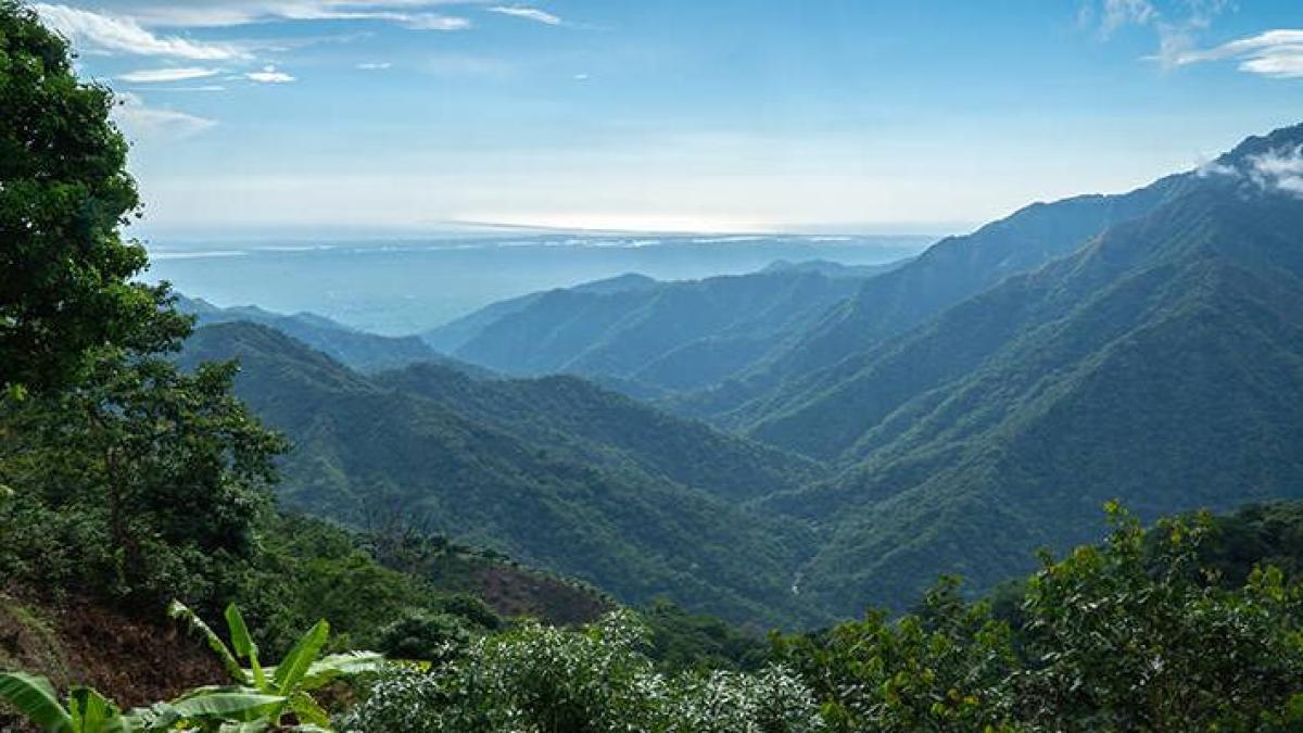 Compleja operación de rescate de un ciudadano estadounidense atrapado en la Sierra Nevada de Santa Marta

 – Desde dentro