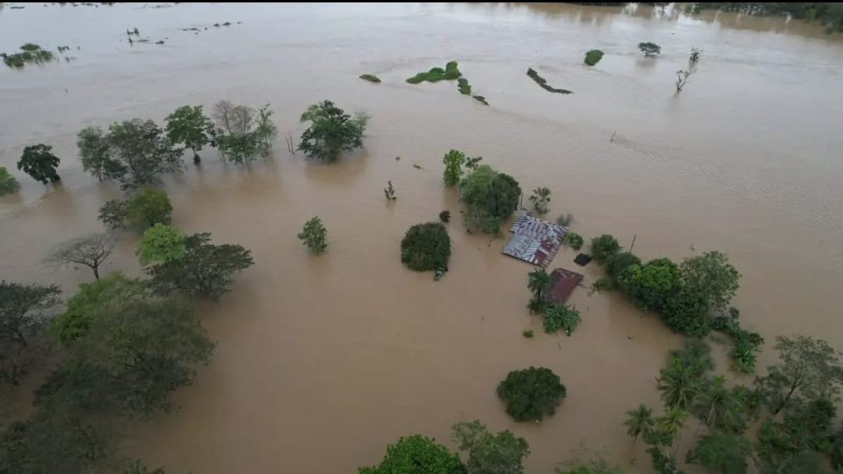 14 muertos y 47.000 familias afectadas por inundaciones y avalanchas

 – Desde dentro