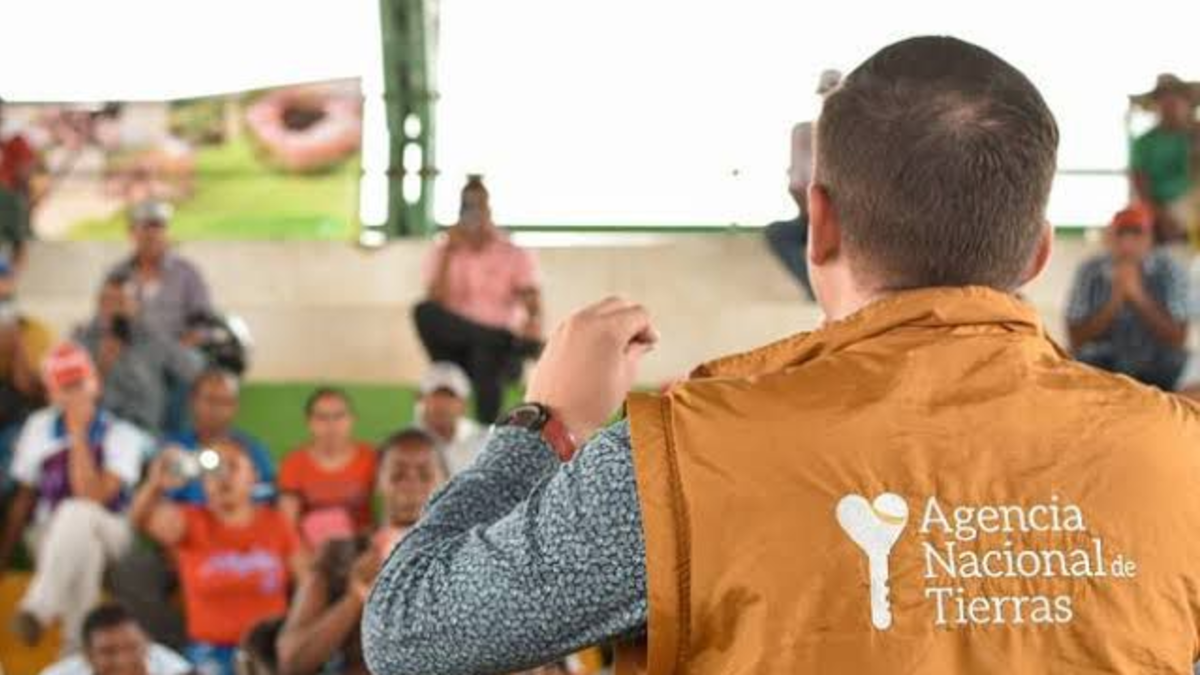 Mafias de procesamiento defraudarían a comunidades étnicas en 25 departamentos al hacerse pasar por funcionarios de la ANT para hacer acusaciones ilegales

 – Desde dentro