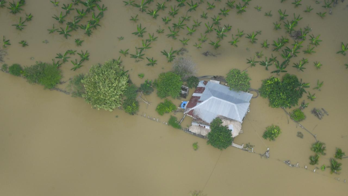 Imágenes satelitales muestran la magnitud de las inundaciones en Montería tras el desbordamiento del río Sinú

 – Desde dentro